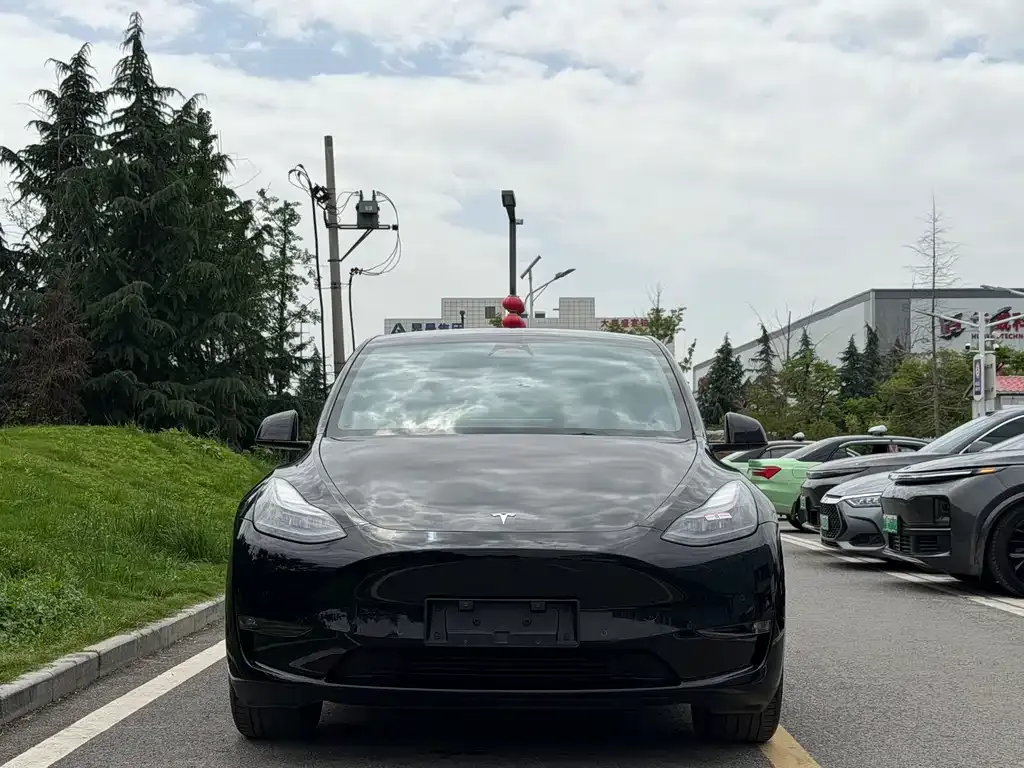 Tesla Model Y — фото 9