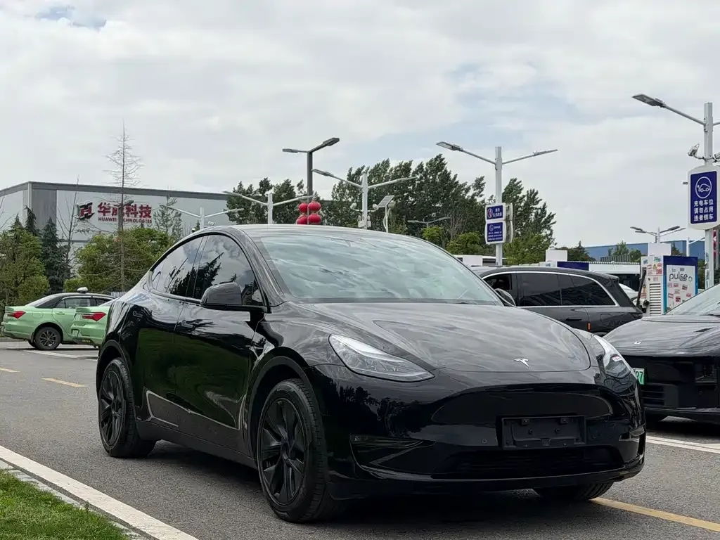 Tesla Model Y — фото 5