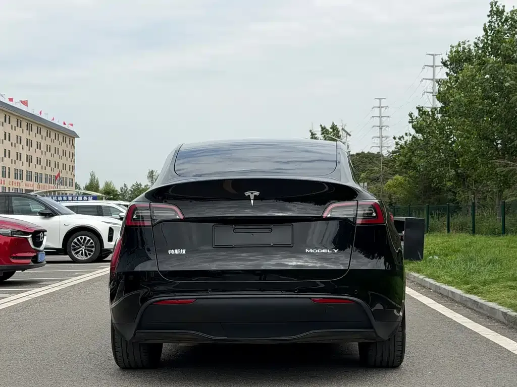 Tesla Model Y — фото 8