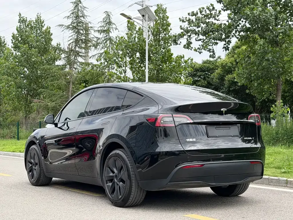 Tesla Model Y — фото 10