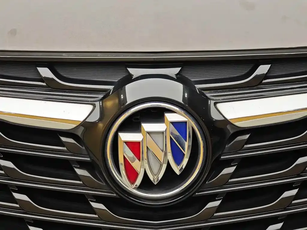 Buick Envision Plus 2021 из CN, фото 6