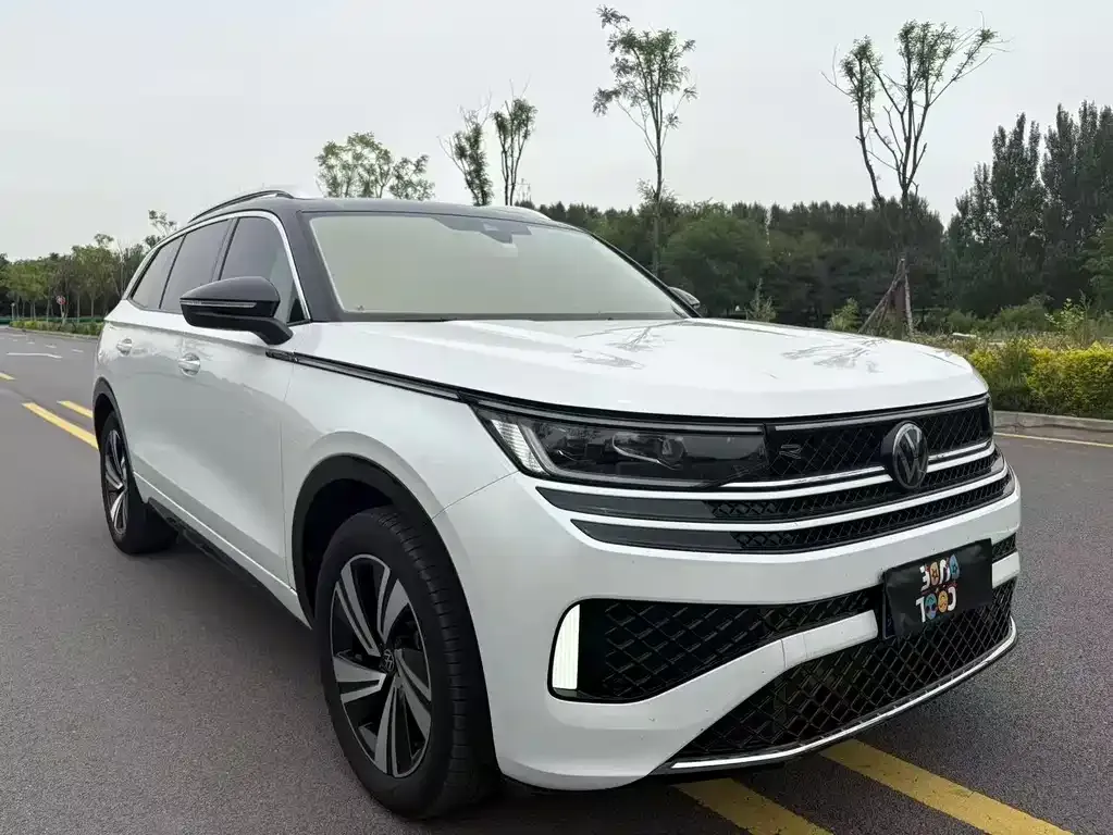Volkswagen Tavendor 2024 из CN, фото 4