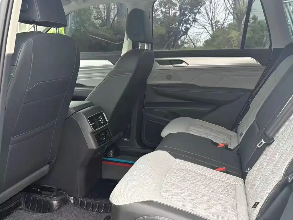 Volkswagen Tavendor 2024 из CN, фото 2