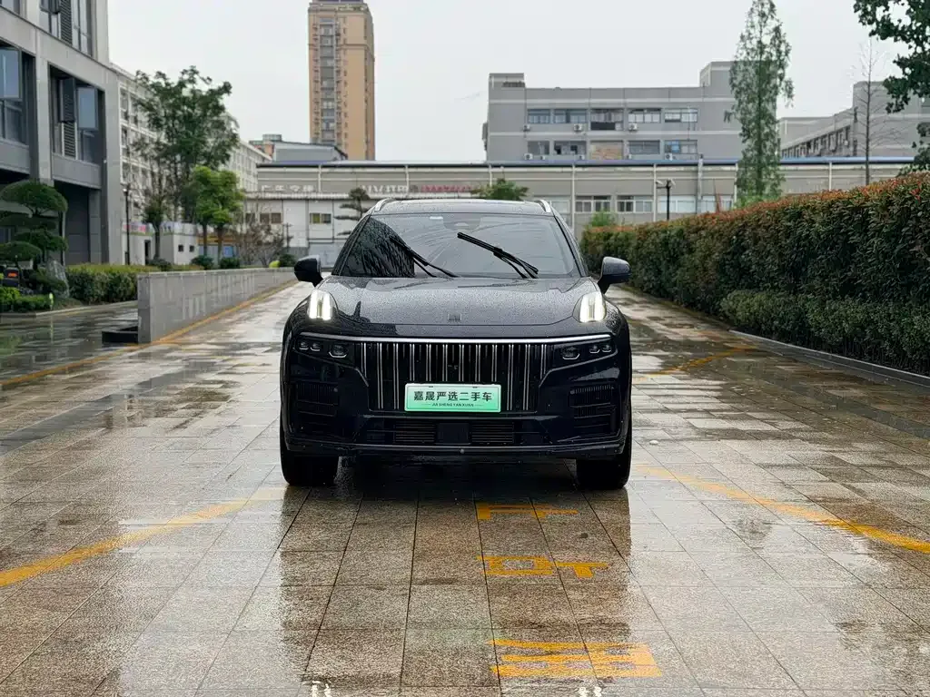 Lynk & Co 09 PHEV 2023 из CN, фото 4