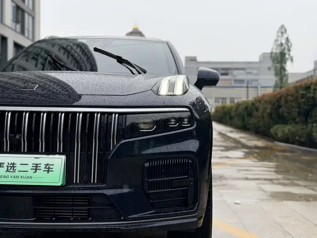 Lynk & Co 09 PHEV 2023 из CN, фото 2