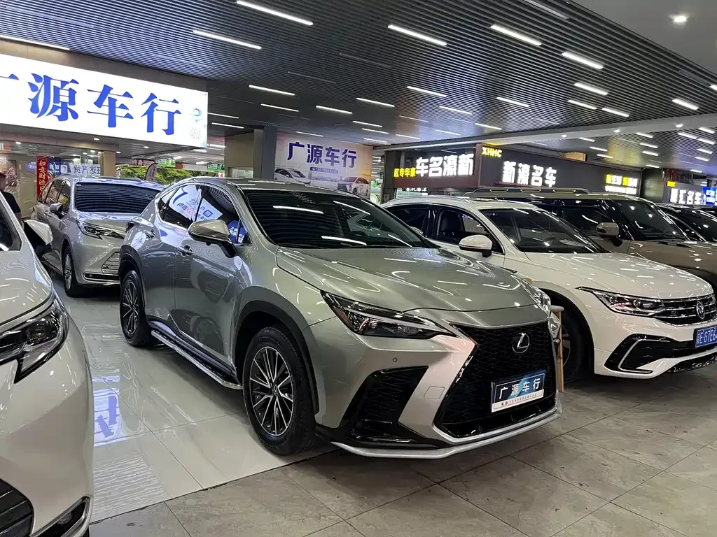 Lexus NX — фото 10