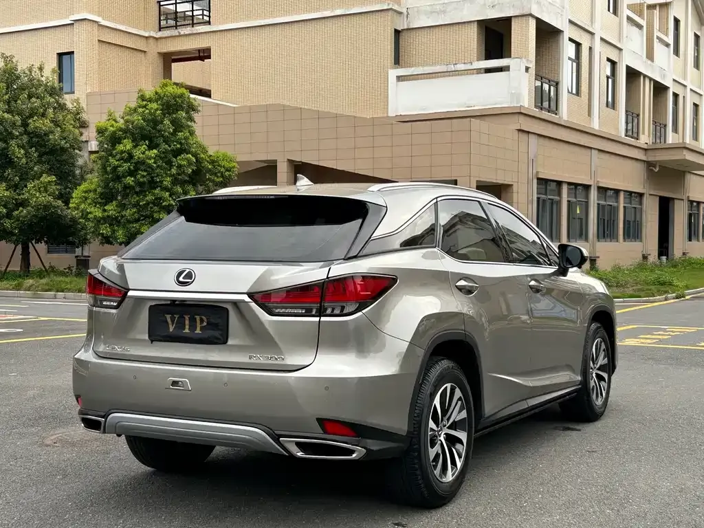 Lexus RX — фото 6