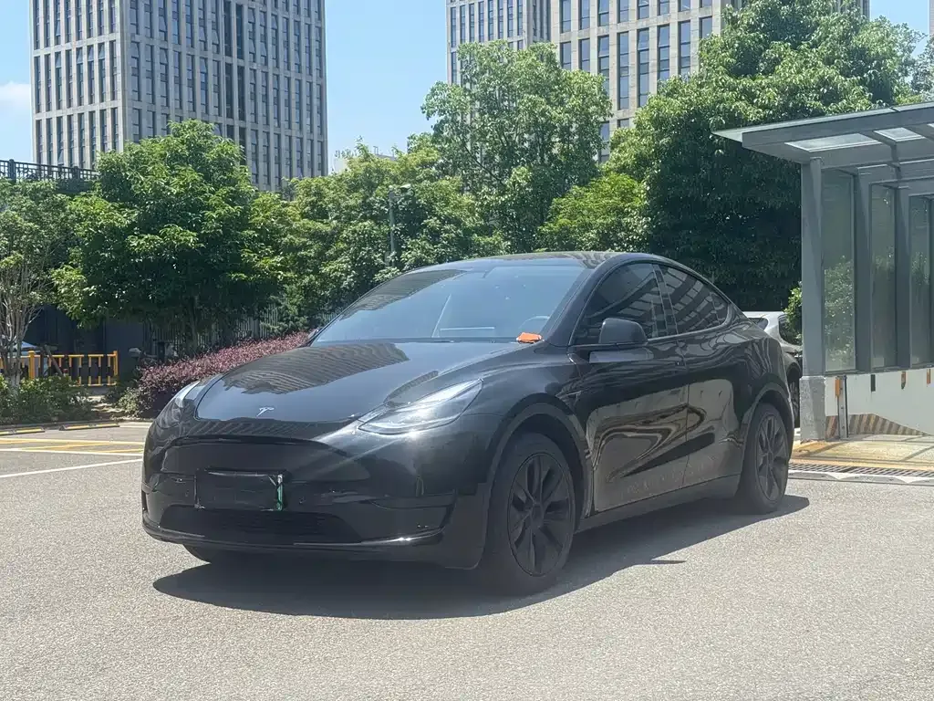 Tesla Model Y — фото 1