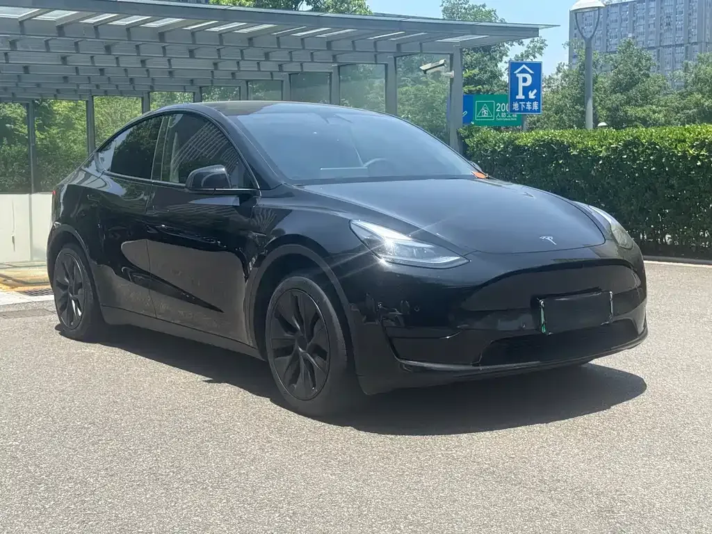 Tesla Model Y — фото 10
