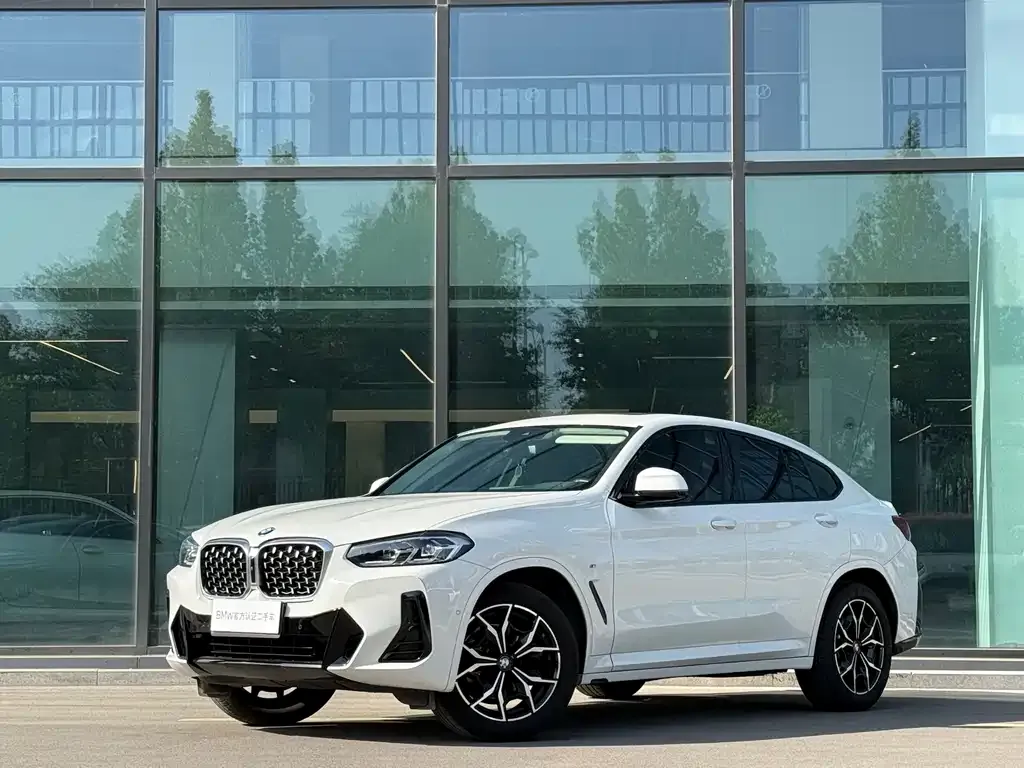 BMW X4 — фото 1