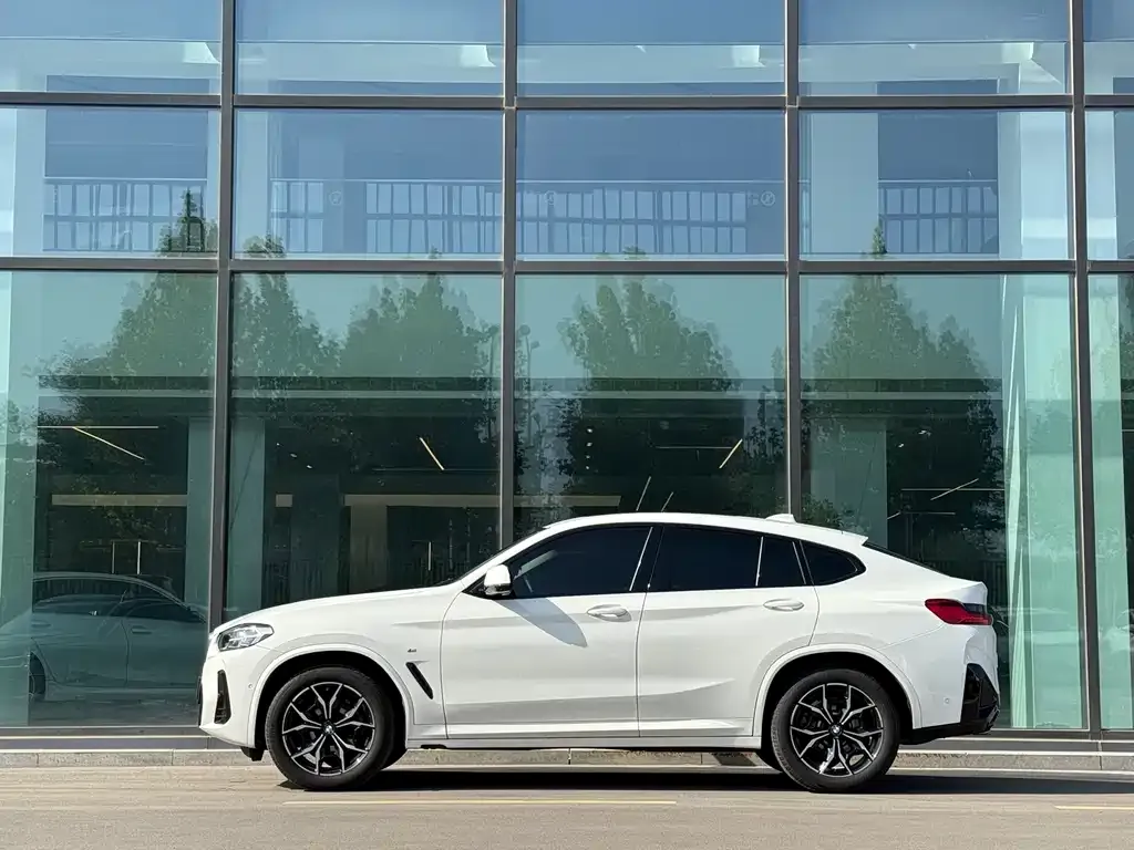 BMW X4 — фото 10