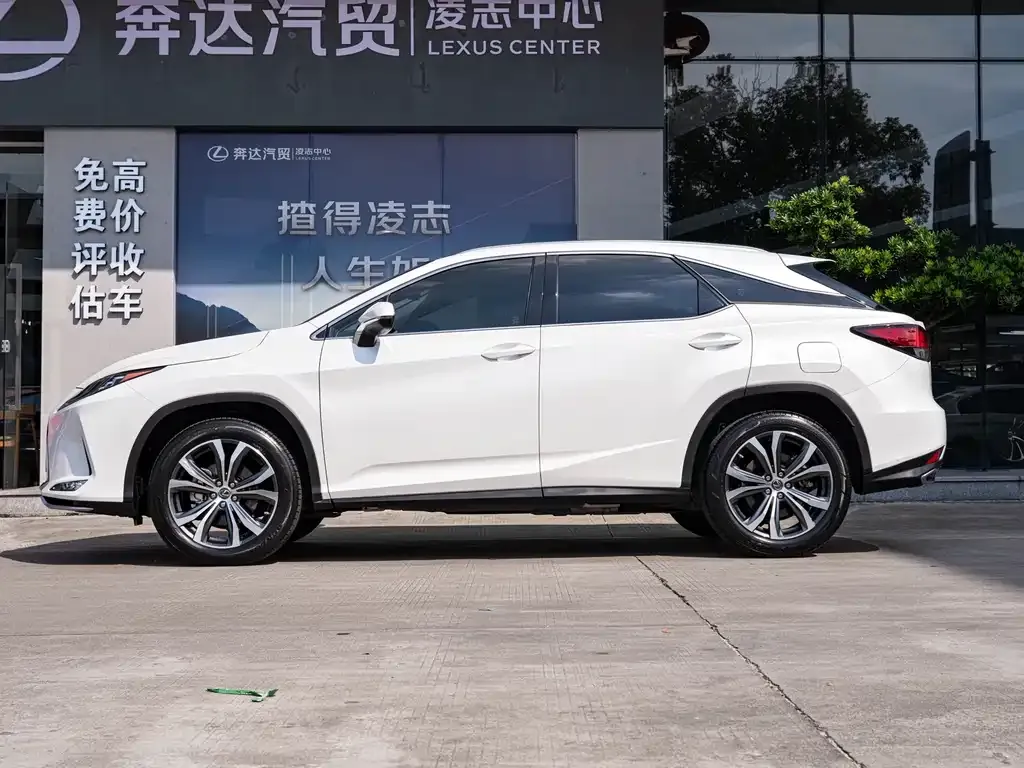 Lexus RX — фото 10