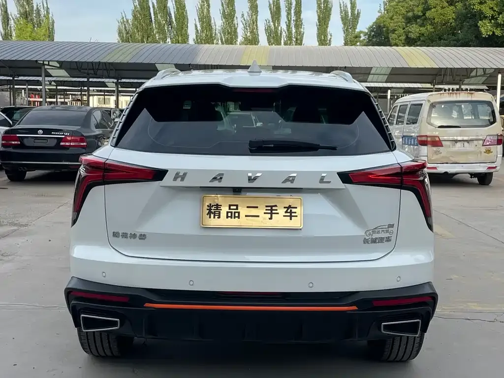 Haval Shenshou 2023 из CN, фото 7