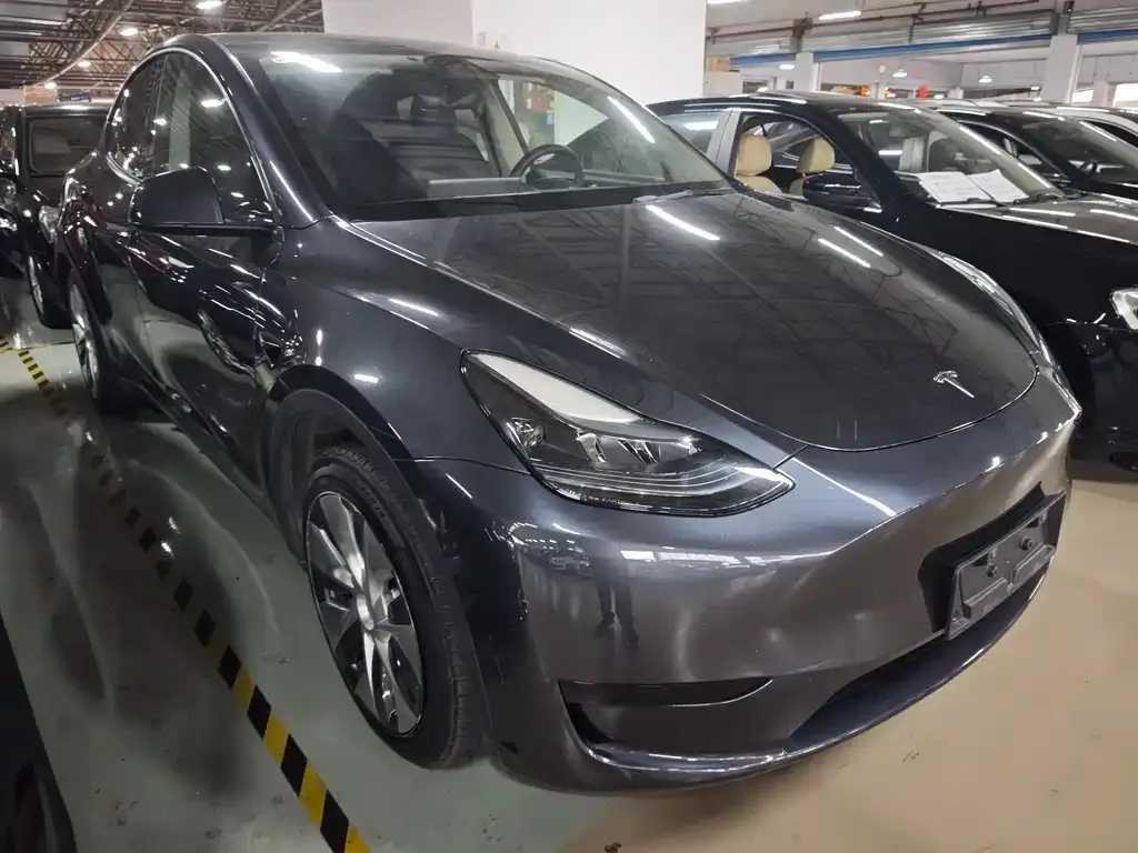 Tesla Model Y — фото 9