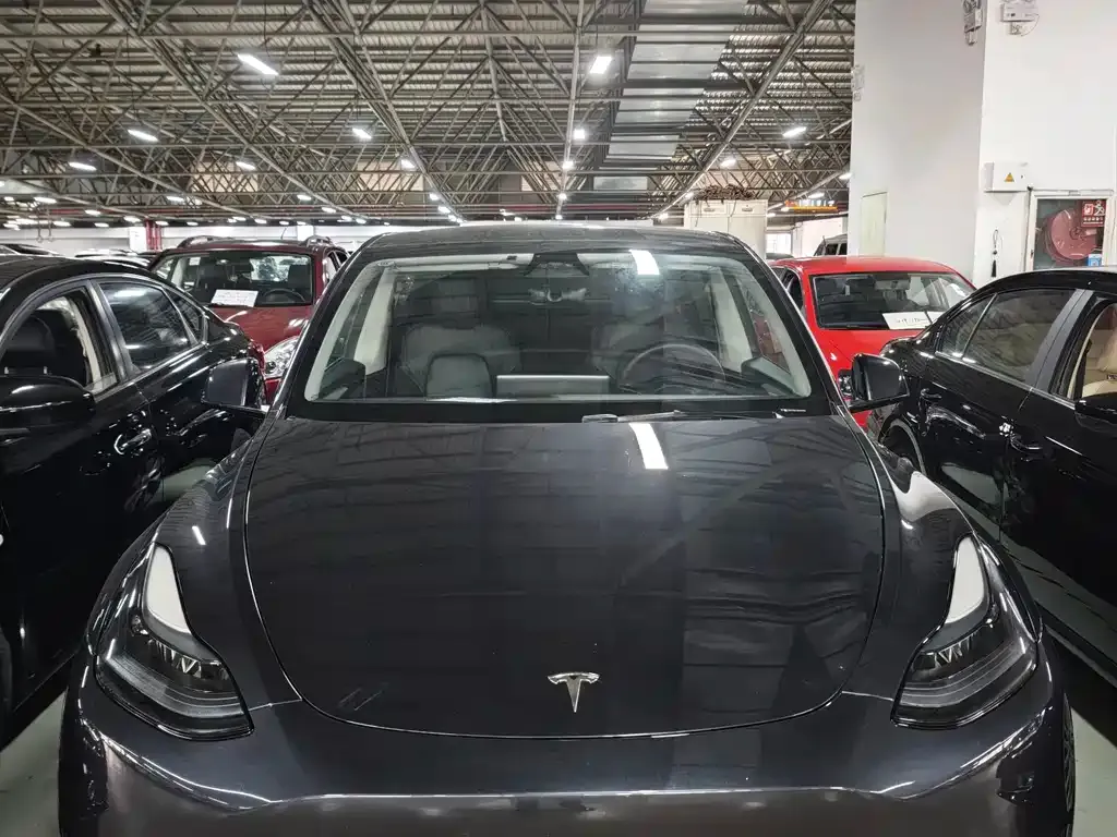 Tesla Model Y — фото 10