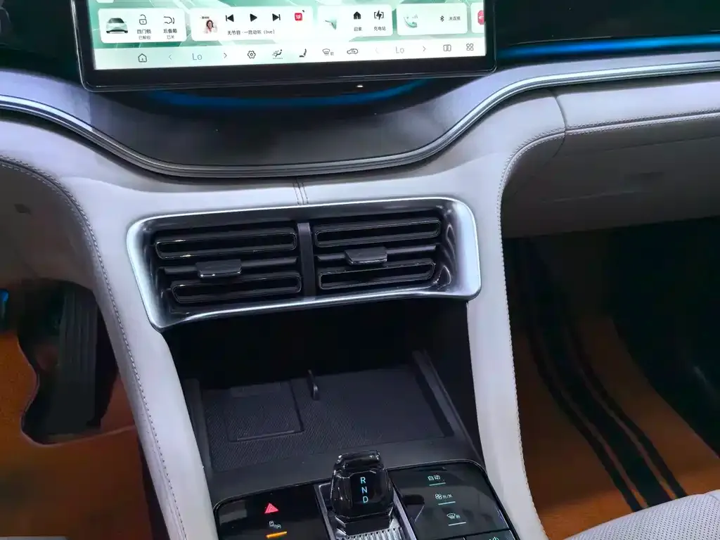 BYD PLUS New Energy 2024 из CN, фото 2