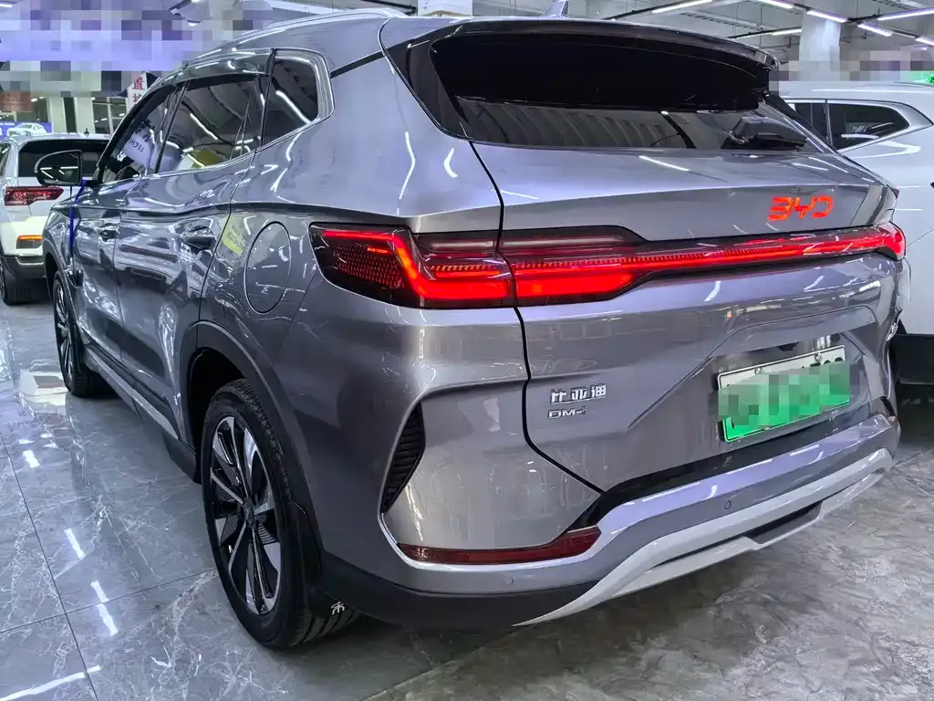 BYD PLUS New Energy 2024 из CN, фото 3