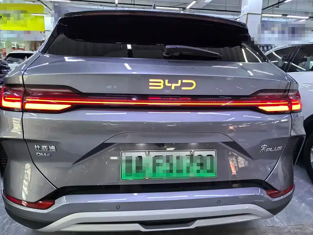 BYD PLUS New Energy 2024 из CN, фото 4