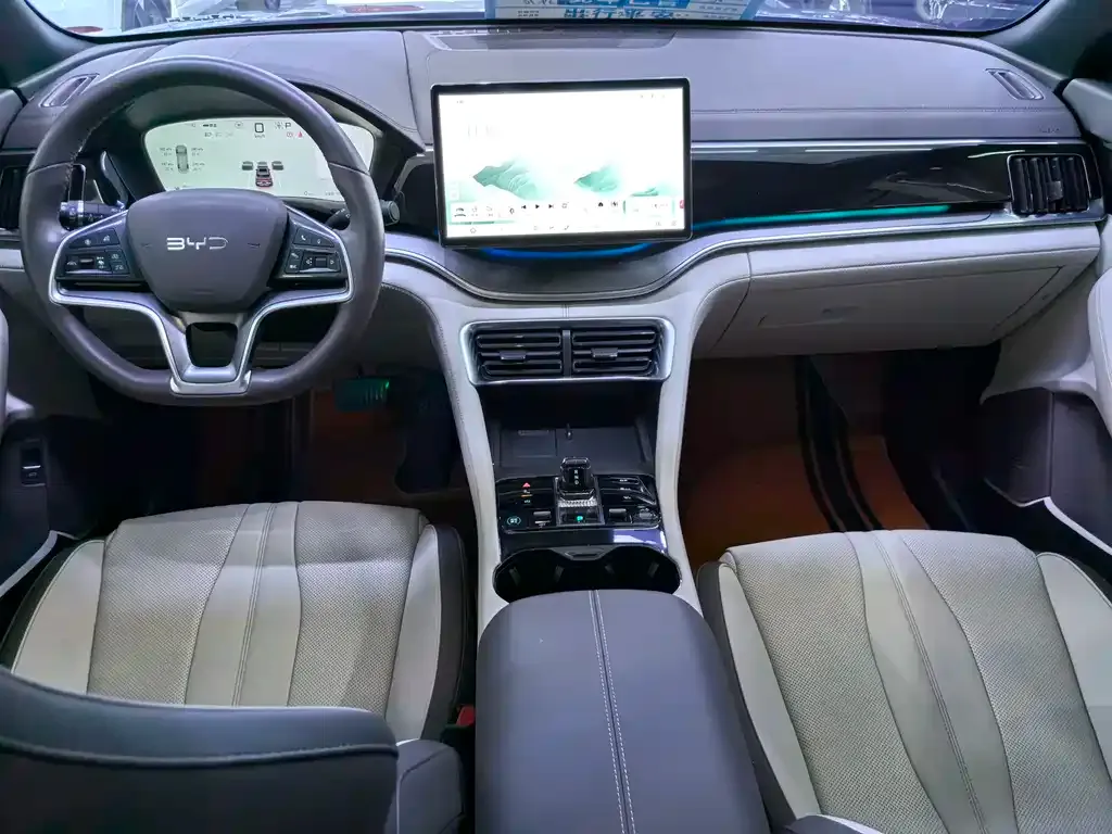 BYD PLUS New Energy 2024 из CN, фото 10