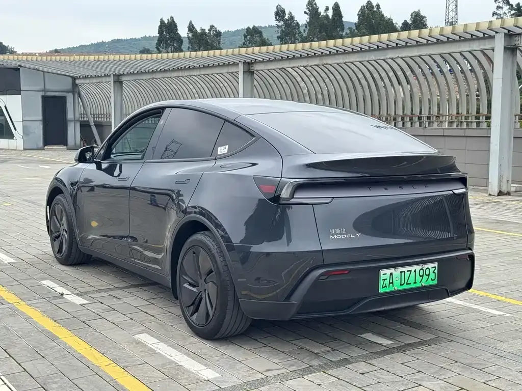 Tesla Model Y — фото 5