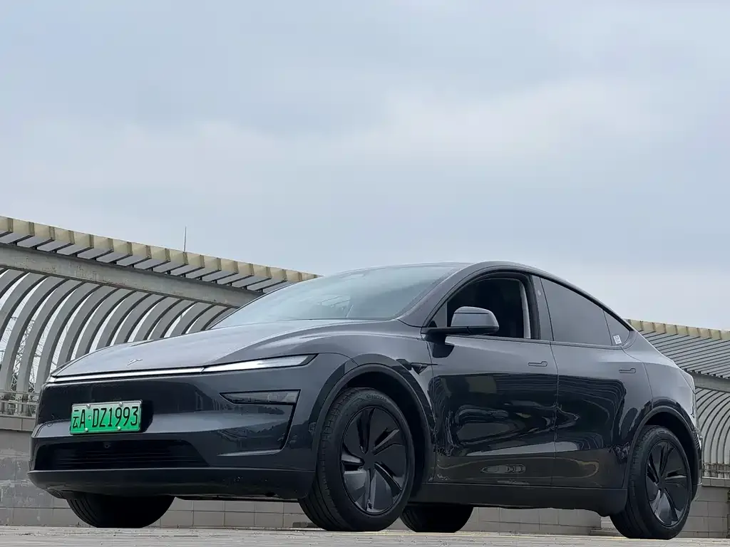 Tesla Model Y — фото 2