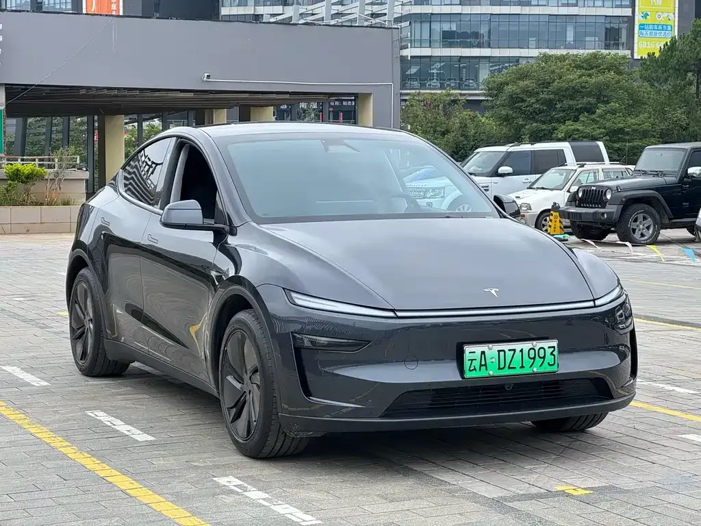 Tesla Model Y — фото 10