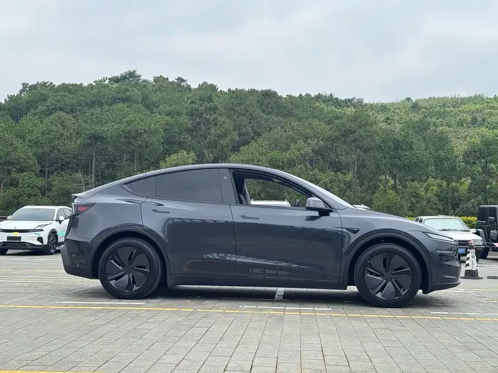 Tesla Model Y — фото 6