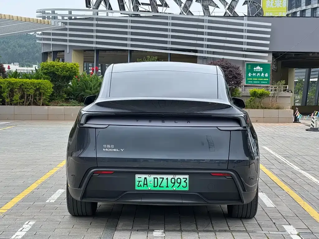 Tesla Model Y — фото 9