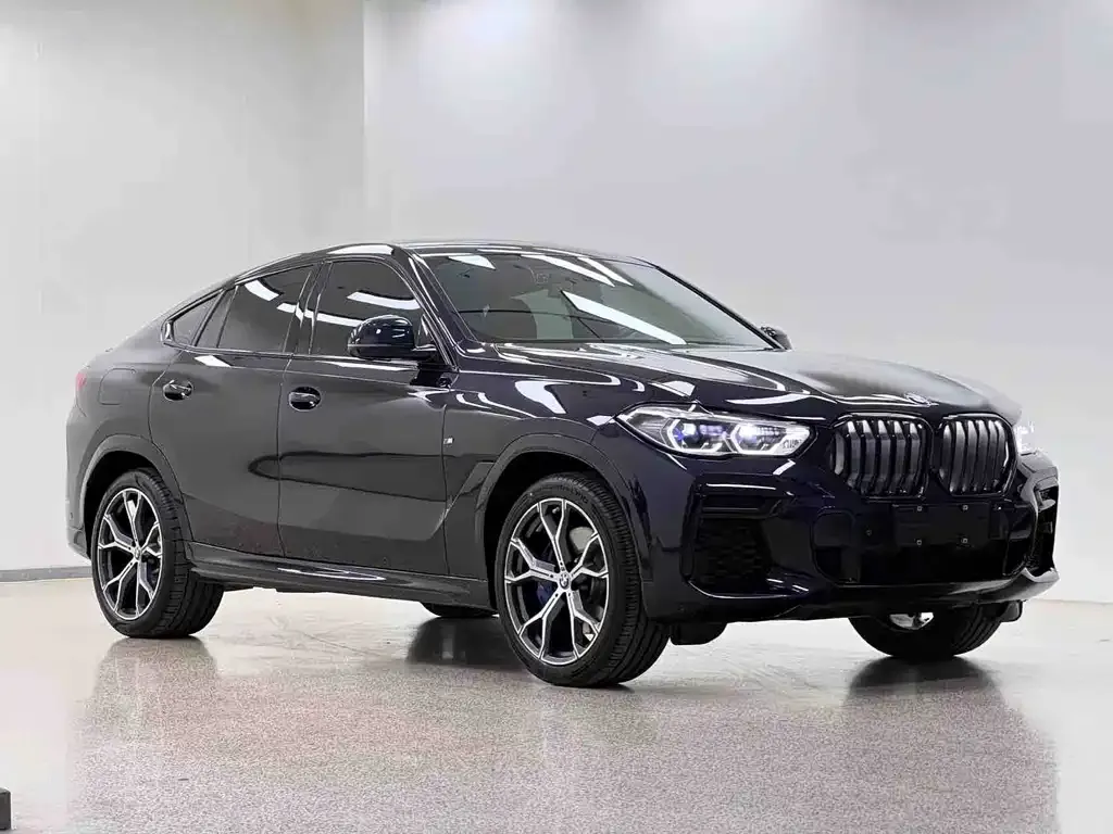 BMW X6 — фото 6