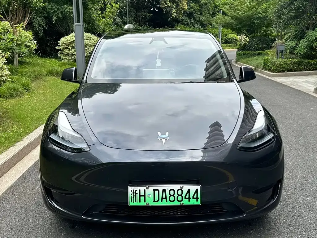 Tesla Model Y — фото 10