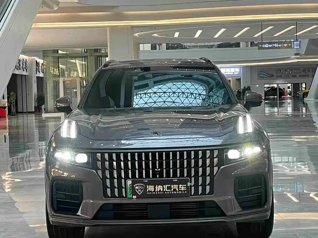 Lynk & Co 09 PHEV 2023 из CN, фото 9