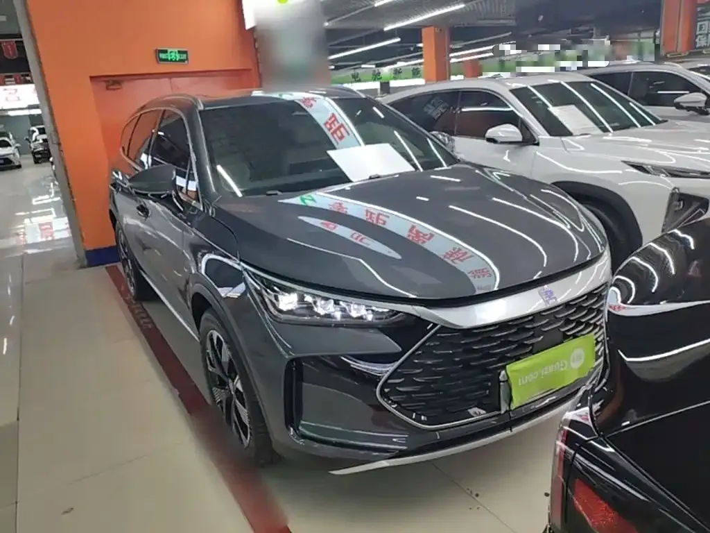 BYD Tang New Energy — фото 10