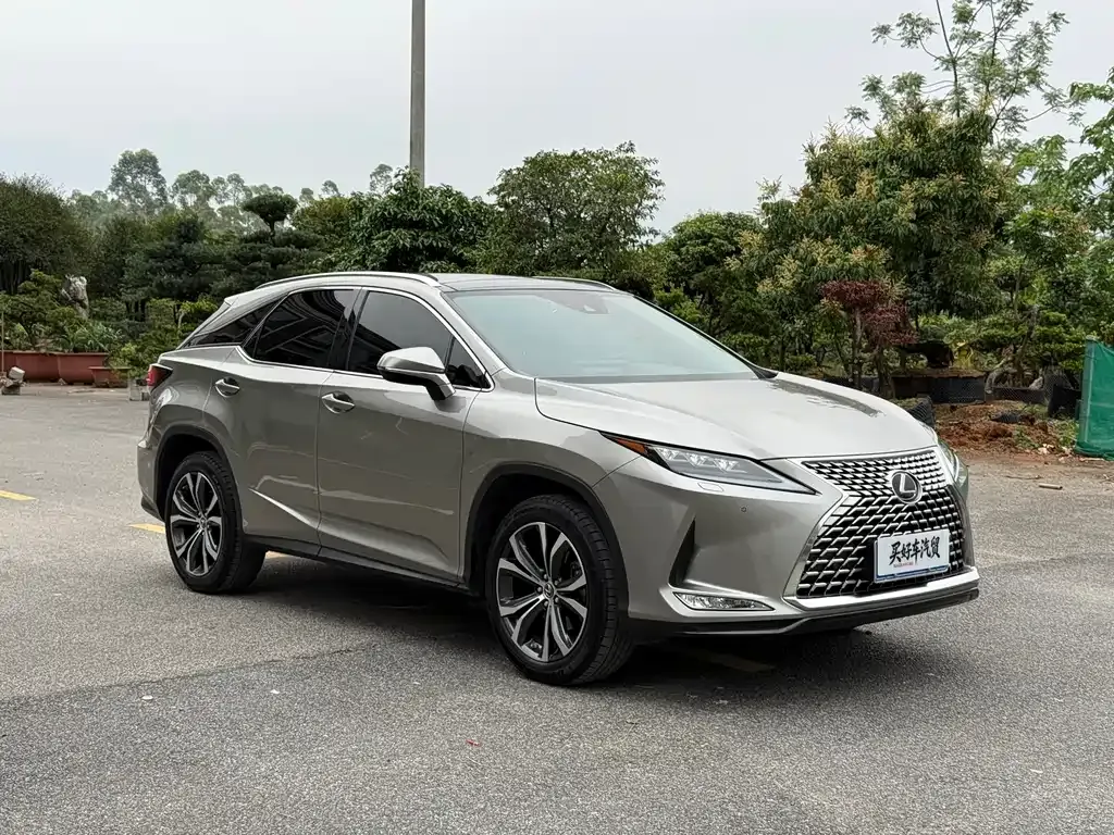Lexus RX — фото 10