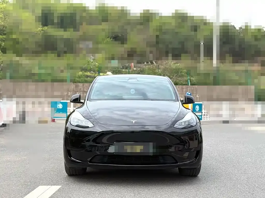 Tesla Model Y — фото 6
