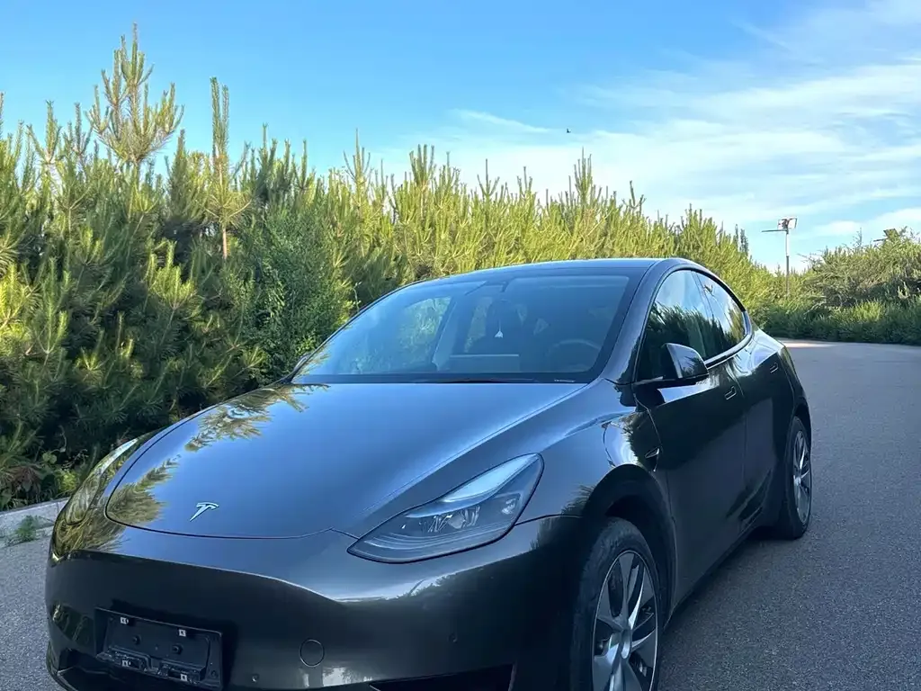 Tesla Model Y — фото 1