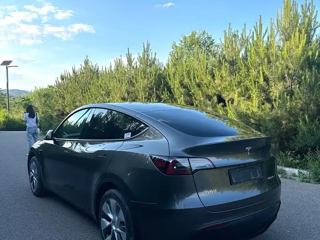 Tesla Model Y — фото 6