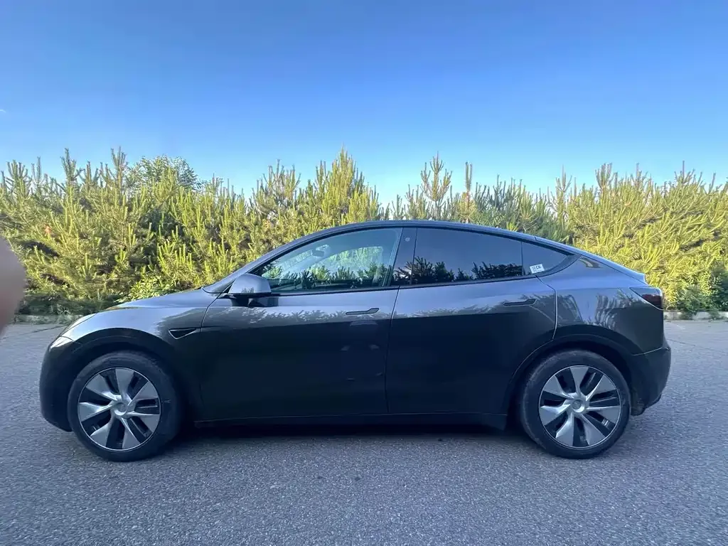 Tesla Model Y — фото 7