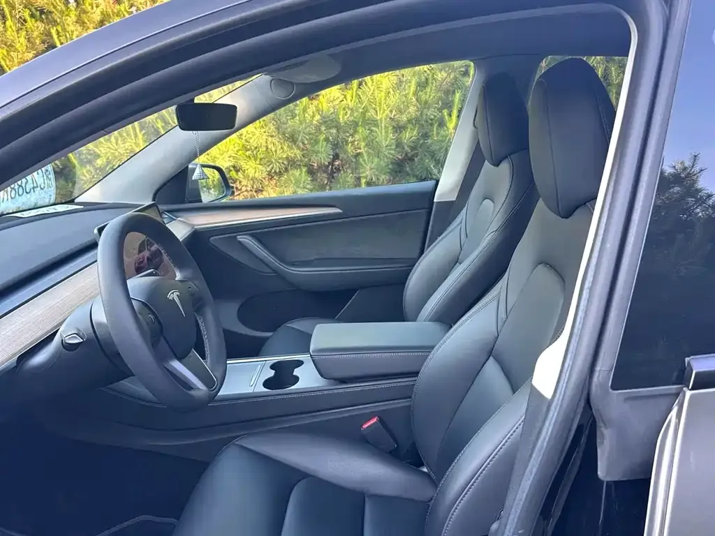 Tesla Model Y — фото 2