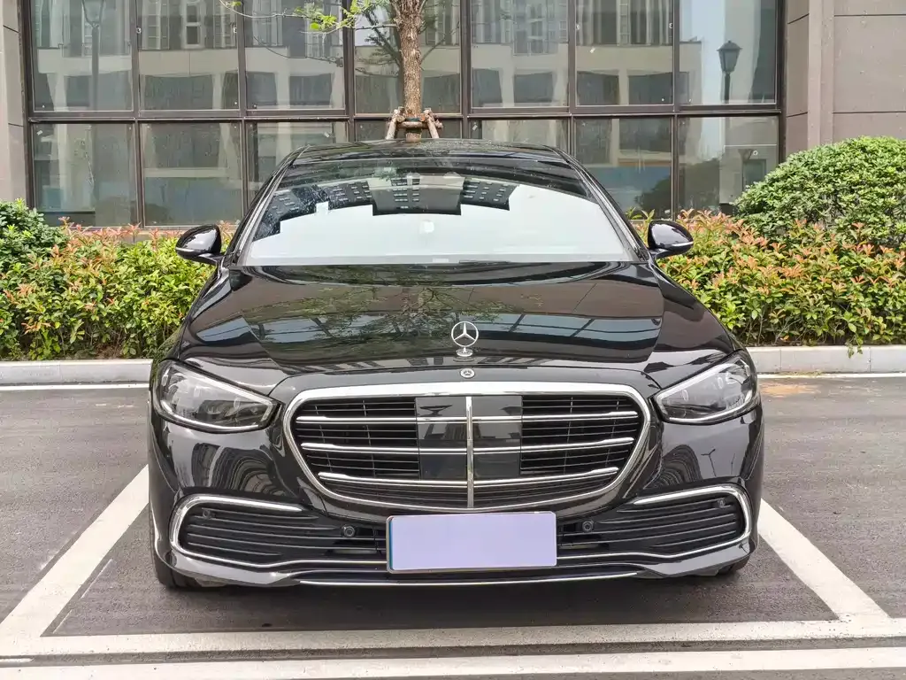 Mercedes-Benz S-Class 2021 из CN, фото 9