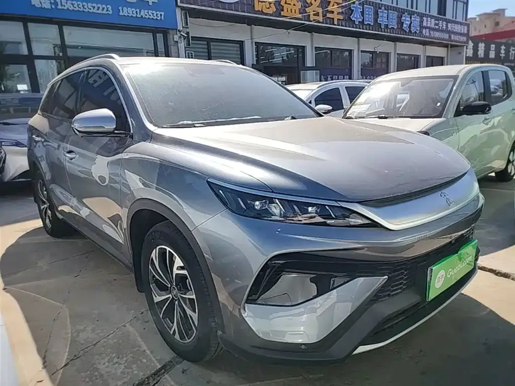 BYD Pro New Energy 2024 из CN, фото 10