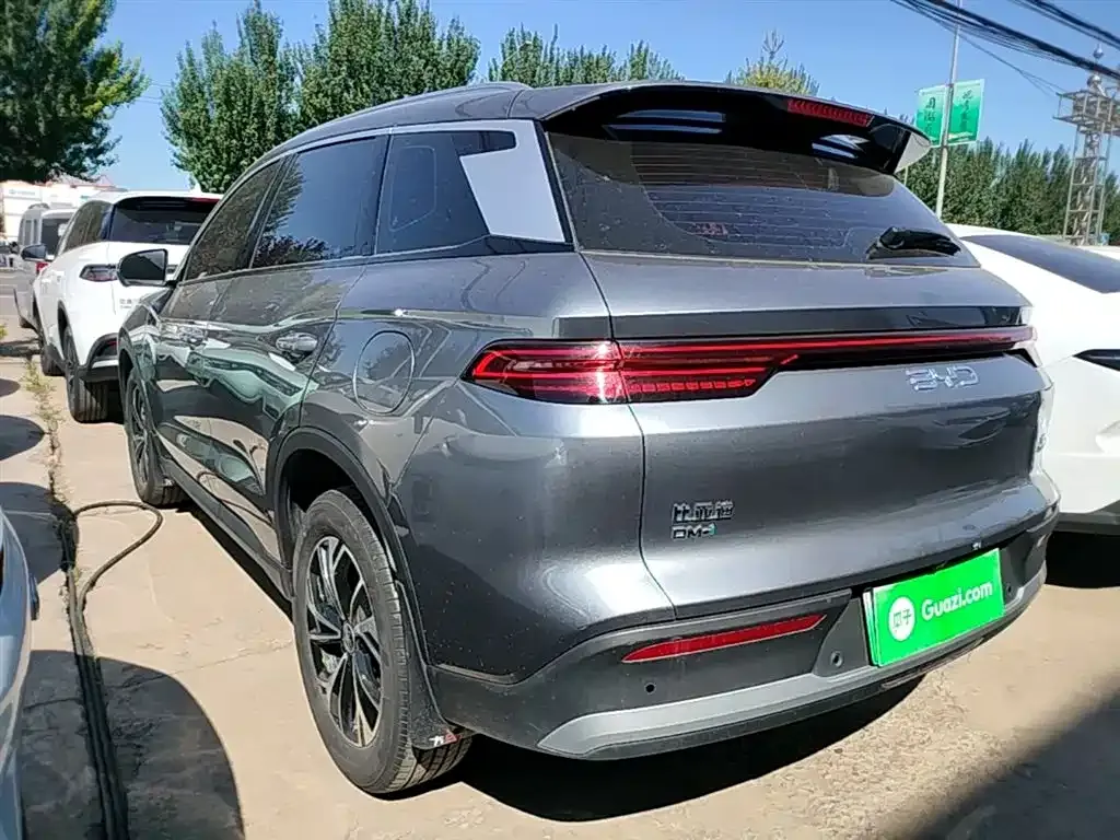 BYD Pro New Energy 2024 из CN, фото 5