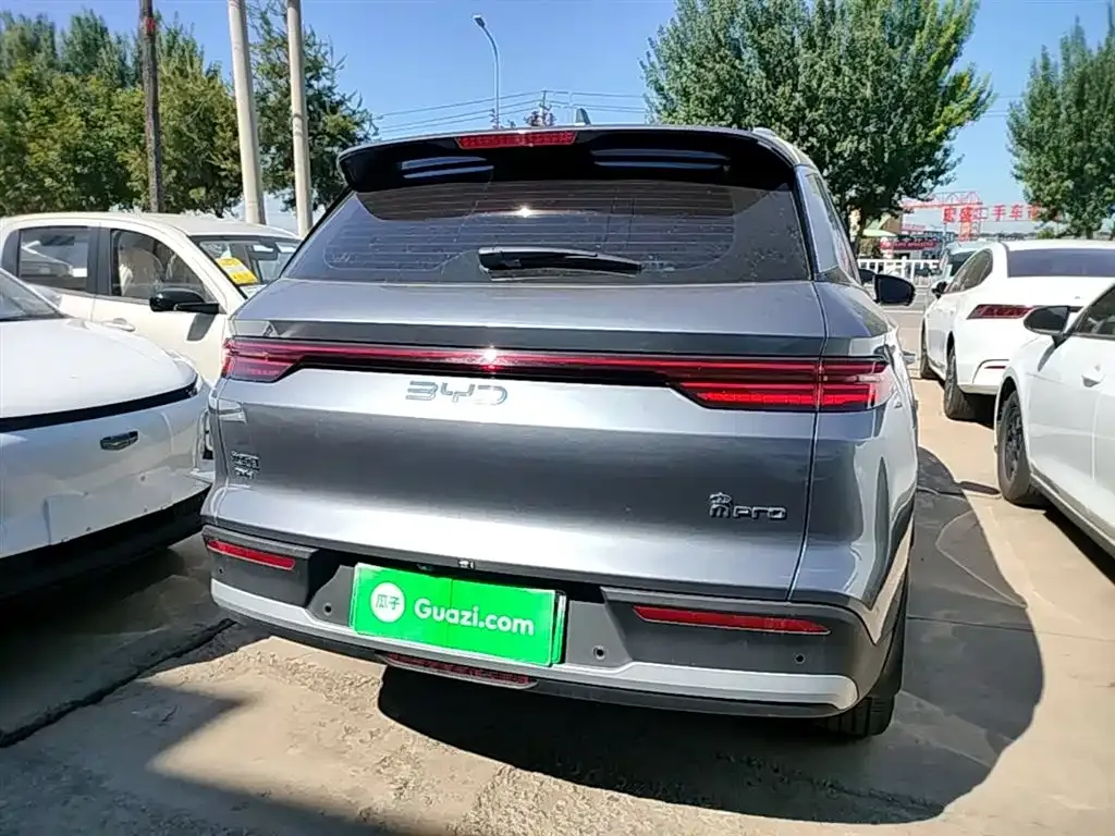 BYD Pro New Energy 2024 из CN, фото 2