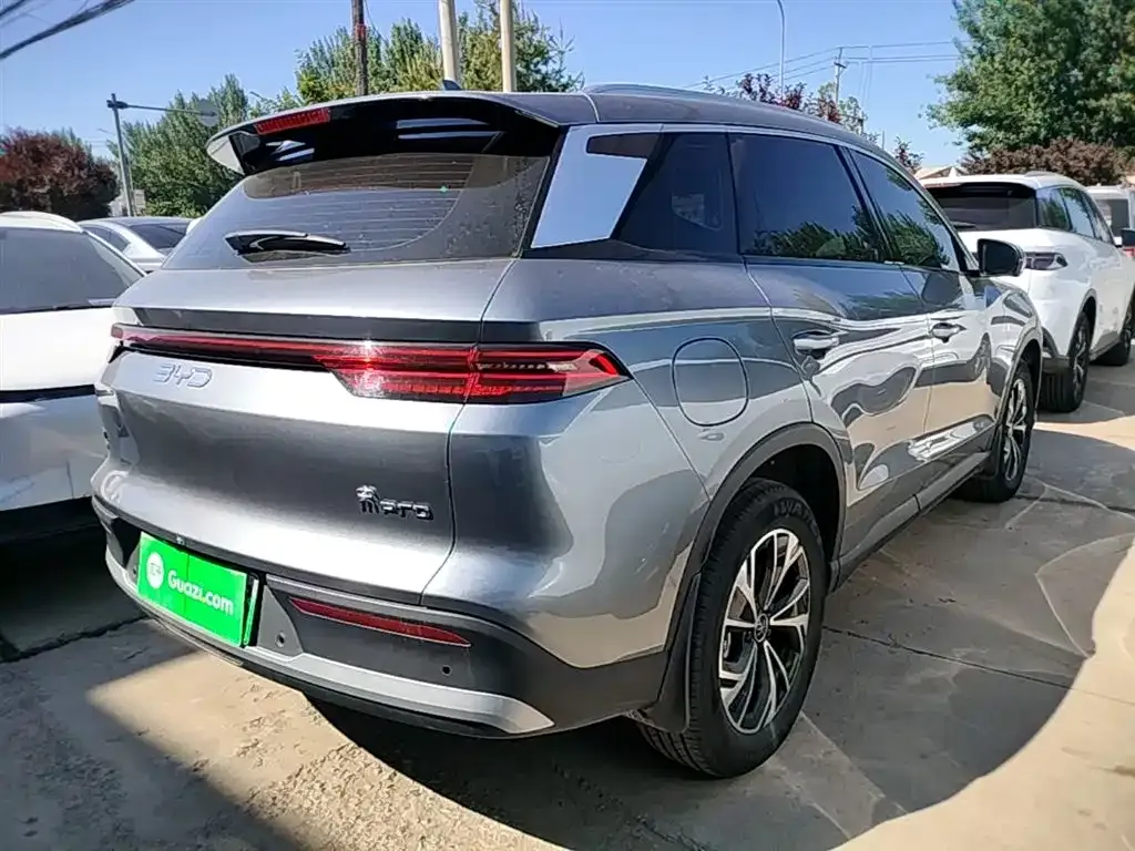 BYD Pro New Energy 2024 из CN, фото 9