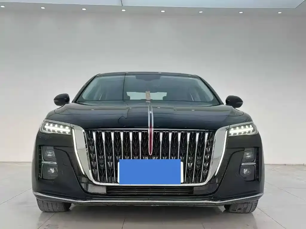 Hongqi H5 2023 из CN, фото 2