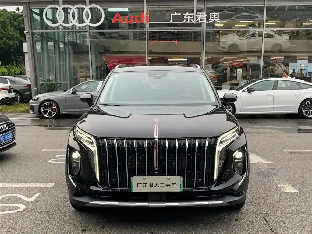 Hongqi HS7 PHEV 2024 из CN, фото 7