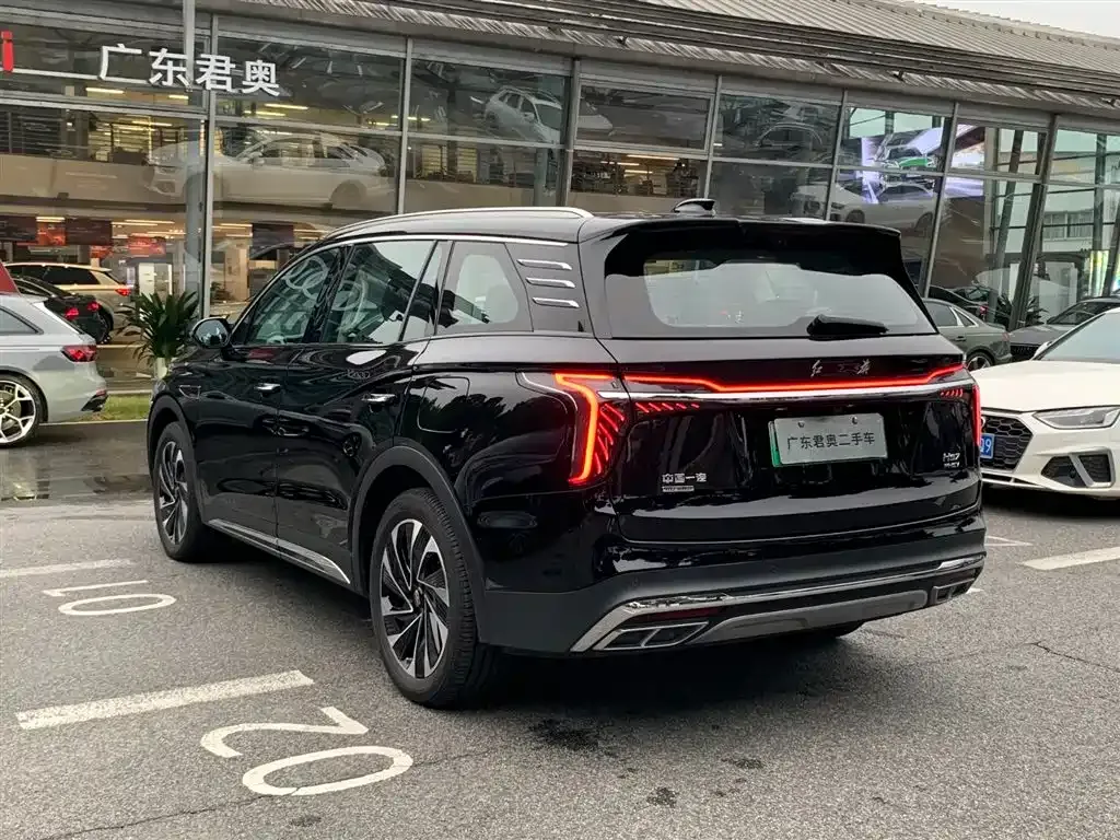 Hongqi HS7 PHEV 2024 из CN, фото 9