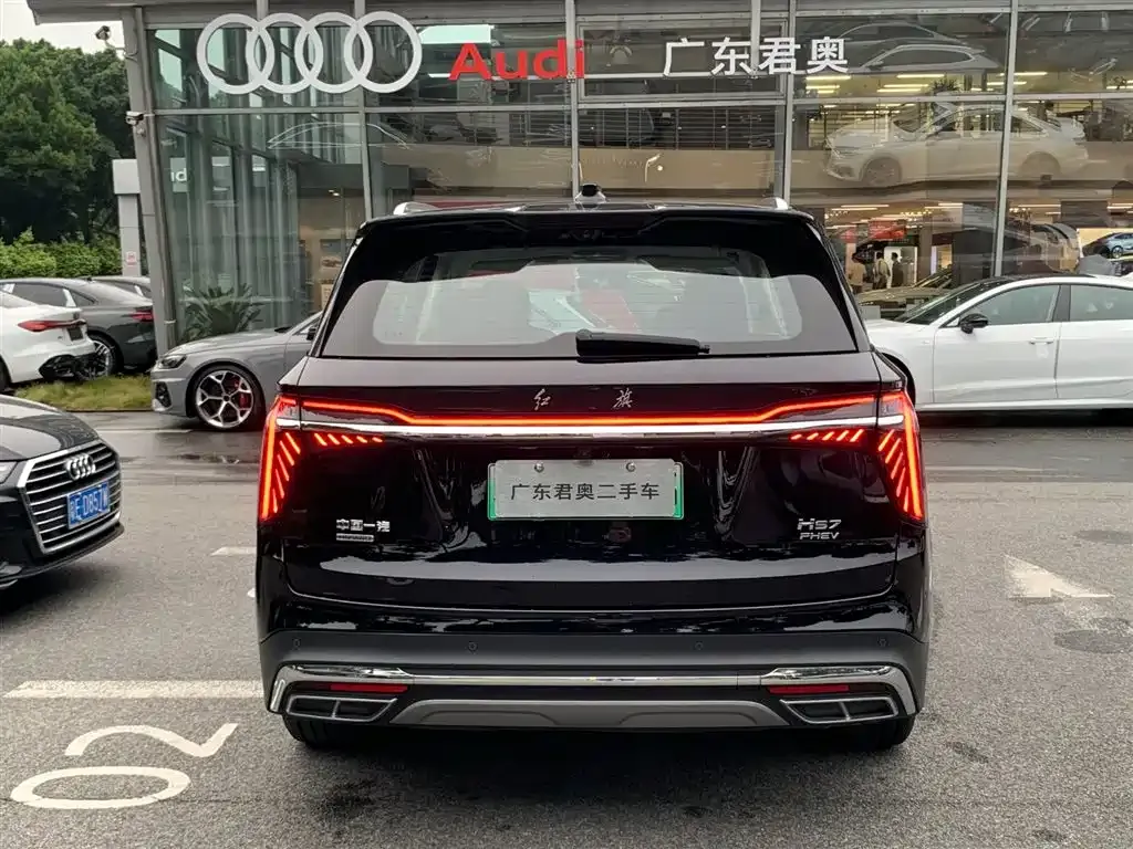Hongqi HS7 PHEV 2024 из CN, фото 2
