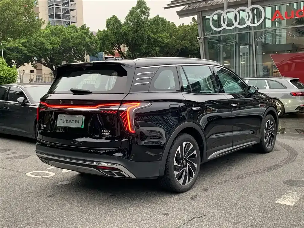 Hongqi HS7 PHEV 2024 из CN, фото 10