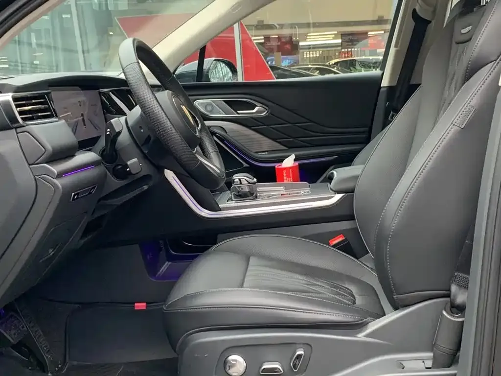 Hongqi HS7 PHEV 2024 из CN, фото 6