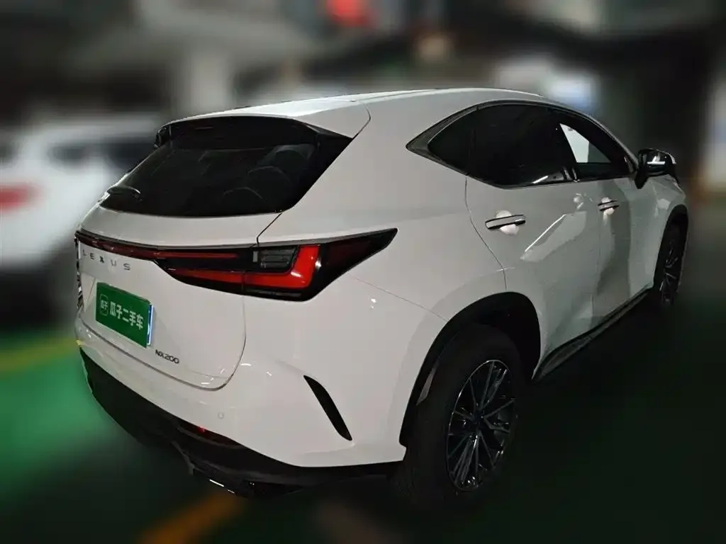 Lexus NX — фото 6